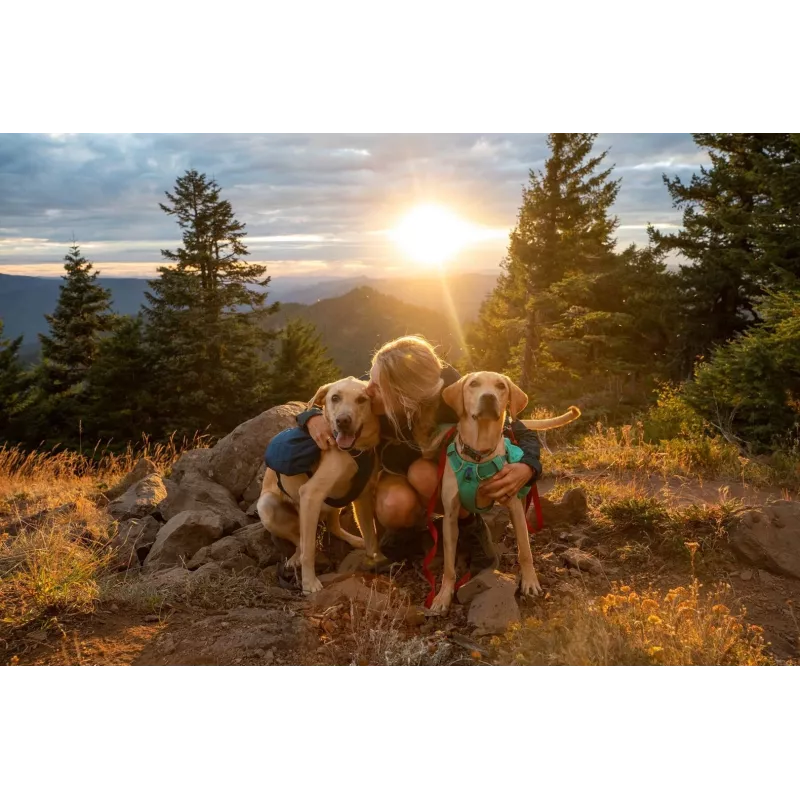 Ruffwear Front Range XS modrá polyester