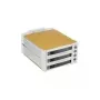 Fantec SNT-BA2131-2 - S-ATA 2x 13,30cm (5,25) pre 3x1 HDD béžová (2007)