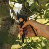 Fiskars Plus SmartFit P541 záhradné nožnice na bypass čierna, oranžová
