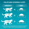 PURINA One Bifensis Senior 7+ - suché krmivo pre mačky - 800 g