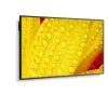 NEC MultiSync M651-2 kioskový dizajn 165,1 cm (65 palcov) LED 500 cd/m² 4K Ultra HD čierny vstavaný procesor