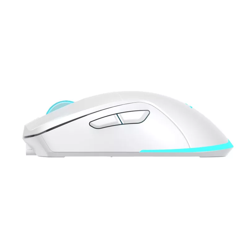 Myš Baracuda BGM-122 Turtle biela TURTLE-W