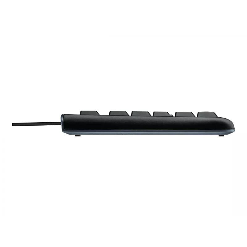 Logitech Desktop MK120 portugalské rozloženie PO (920-002547)