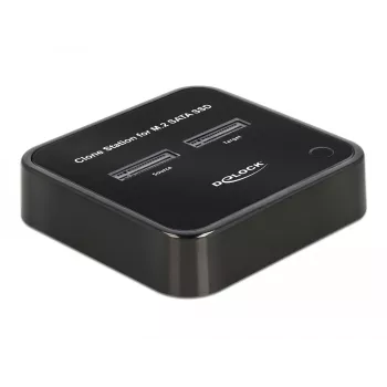 DeLOCK 64178 dokovacia stanica USB 3.2 Gen 2 Type-C SSD M.2