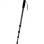 WALSER Walimex Pro WT-1003 Basic - monopod (1012120)