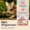 INABA Churu výberová krabica tuniak – maškrty pre mačky – 60 x 14 g