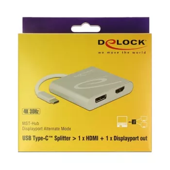 USB grafický adaptér DeLOCK 87716 2560 x 1440 pixelov strieborný