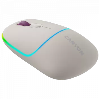 CANYON myš MW-22 2-in-1 BT/wireless rice
