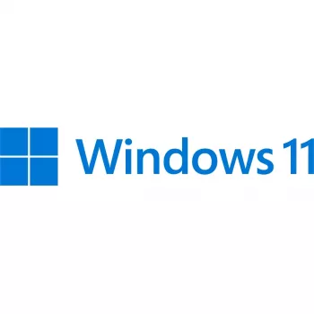 Microsoft Windows 11 Pro 64-Bit španielsky (FQC-10552)