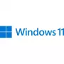 Microsoft Windows 11 Pro 64-Bit španielsky (FQC-10552)