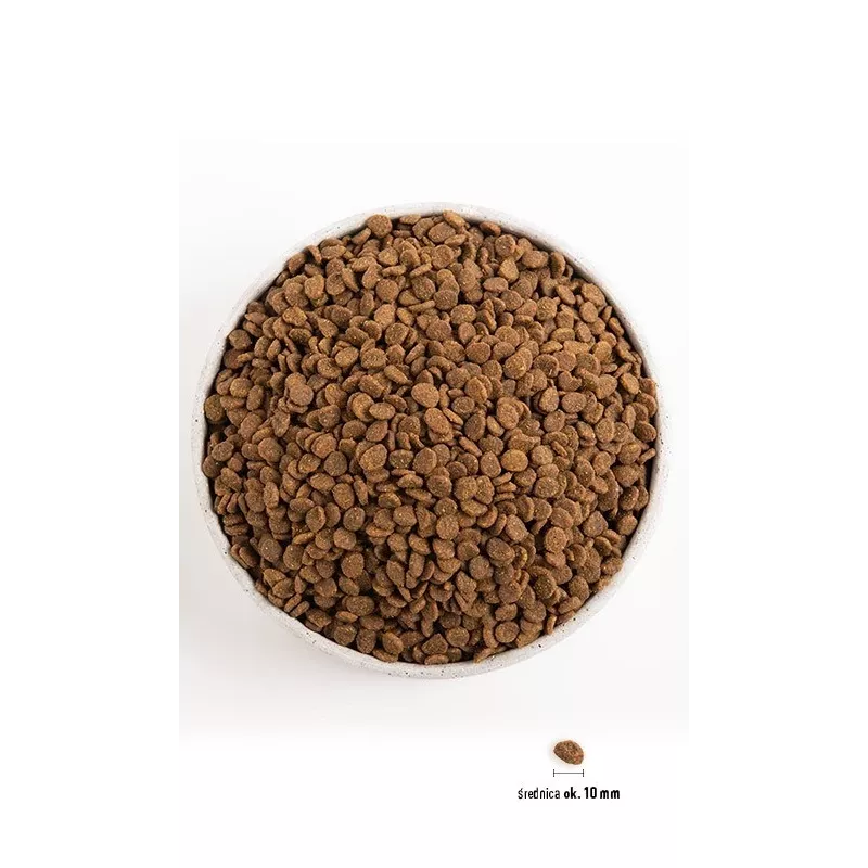 Orijen Kitten suché krmivo pre mačiatka, 1,8 kg