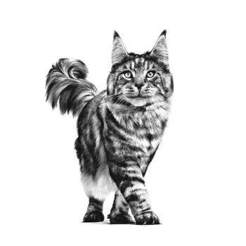 ROYAL CANIN Cat Gastrointestinal VHN - suché krmivo pre mačky - 400 g