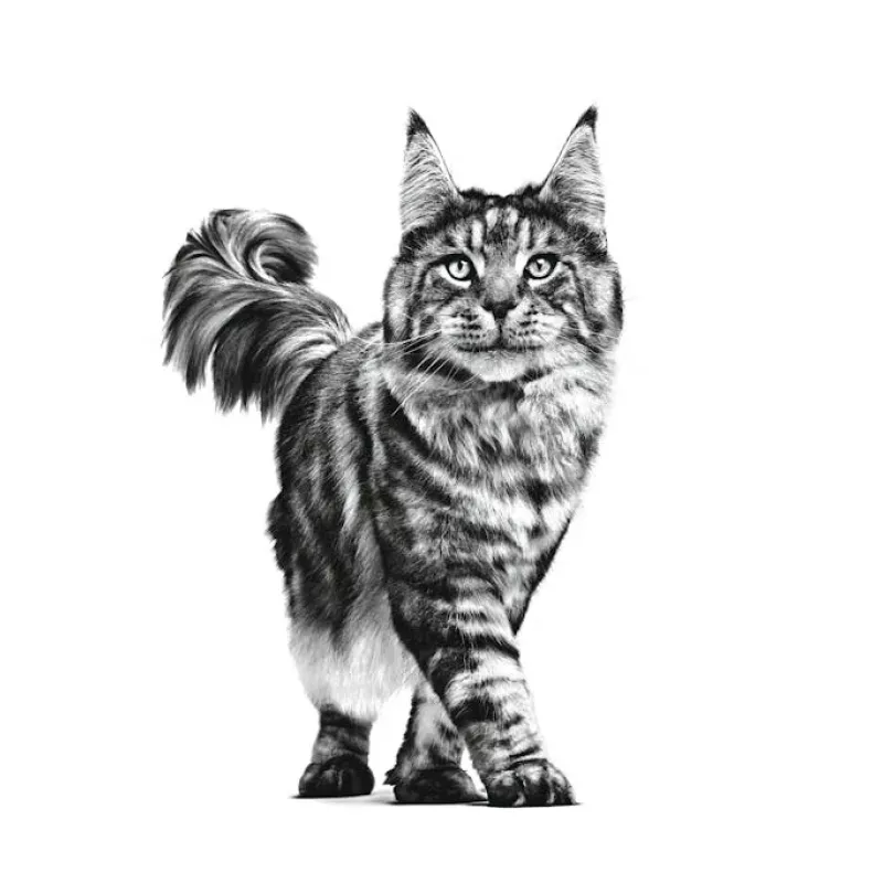 ROYAL CANIN Cat Gastrointestinal VHN - suché krmivo pre mačky - 400 g