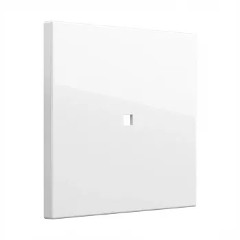 Spínacia kolíska Gira kolíska kontrolný rám System 55 čistobiela (model 329003) pre rámy System 55