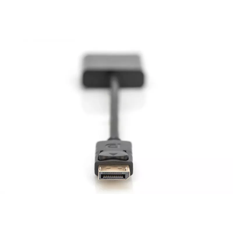 Digitus DisplayPort adaptér / konvertor