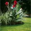 Gardena 536-20 záhradná obrubová rolka plast zelená (536)