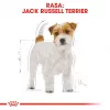 ROYAL CANIN Jack Russell Adult suché krmivo pre psov - 1,5 kg