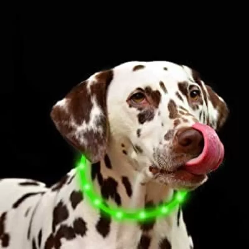 LED obojok Anicoll zelený pre psy a mačky model nabíjateľné osvetlenie