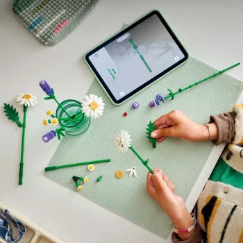 LEGO BOTANICALS 11508 sedmokrásky