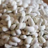 PNOS sušená fazuľa Iglomska semená, 50 g