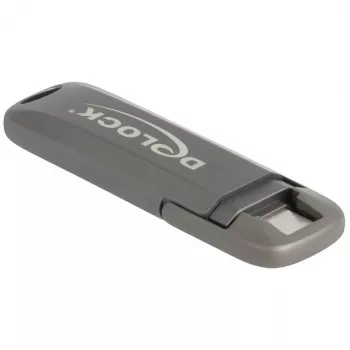 USB flash disk DeLOCK 54012 256 GB USB Type-C sivý
