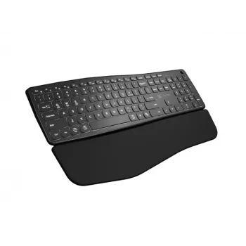 NATEC PORIFERA klávesnica Home/Office Bluetooth QWERTY US International čierna