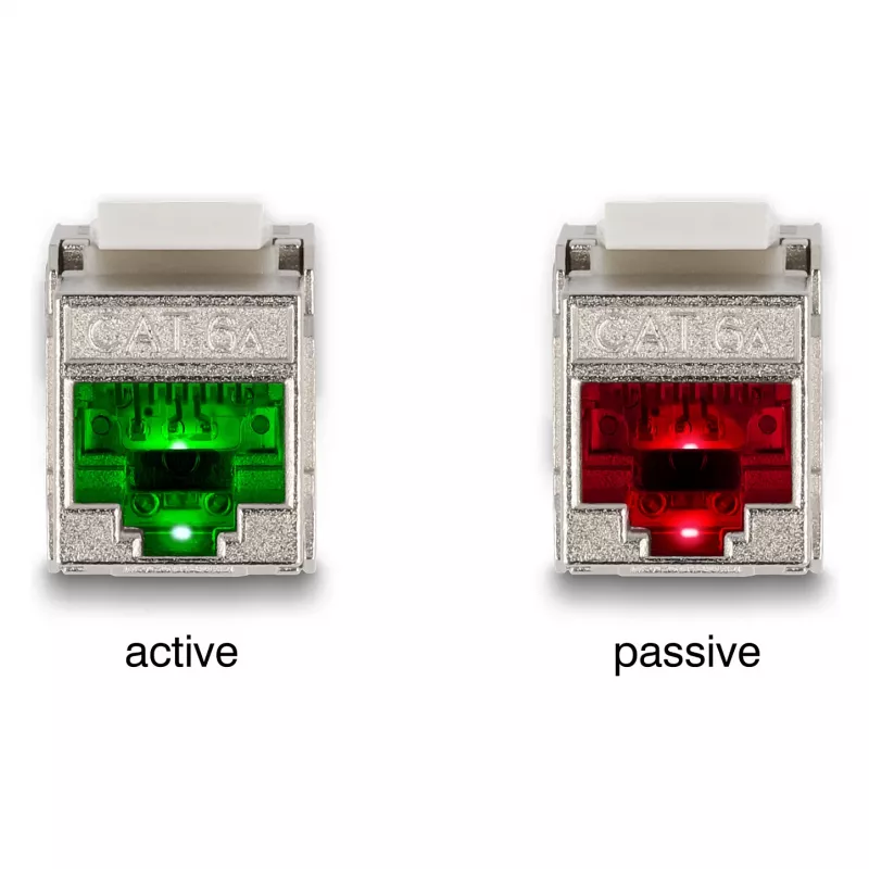 DeLOCK Keystone modul RJ45 konektor samica na LSA Kat.6A s LED strieborno-biela