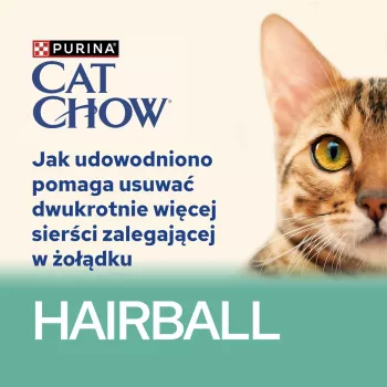 CAT CHOW Hairball Control kurčina zelené fazuľky v omáčke 85 g