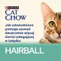CAT CHOW Hairball Control kurčina zelené fazuľky v omáčke 85 g