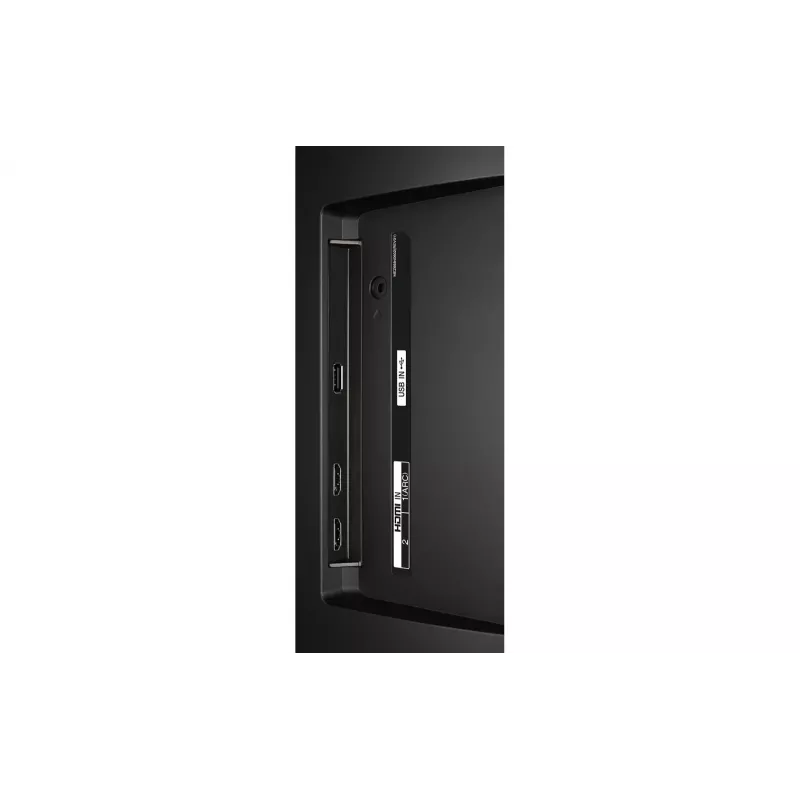 LG hotelový televízor 24LN662V 24 - LCD televízor - HD (1366x768)