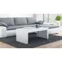 Cama TESS120 BI/BI konferenčný stolík / odkladací stolík / rohový stolík konferenčný stolík obdĺžnikový tvar 2 noha(y)