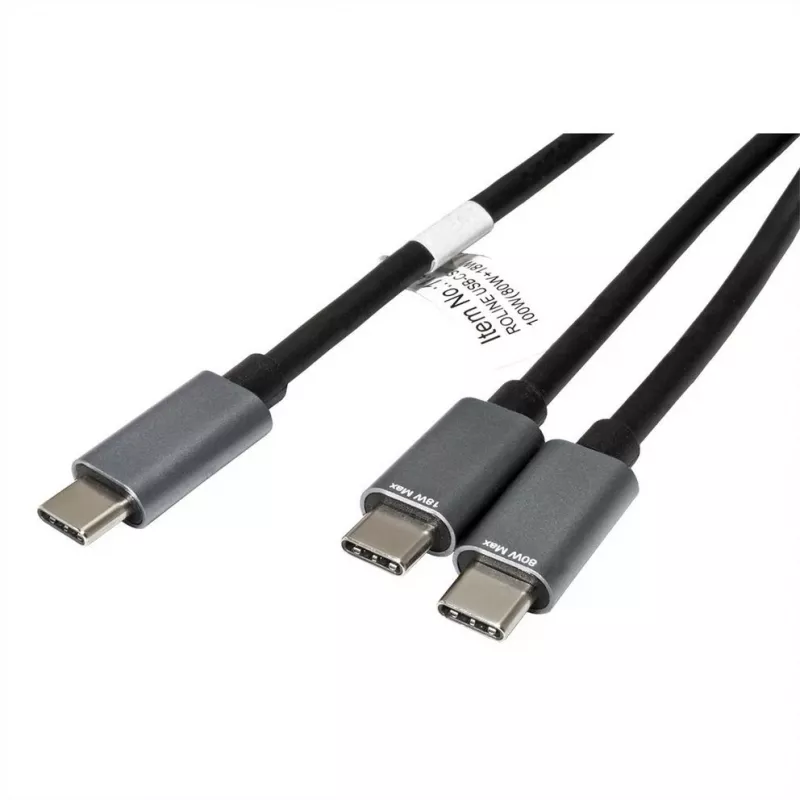 ROLINE - USB kábel - 24-pin USB-C (M) na 24-pin USB-C (M) - USB 2.0 - 1,85 m - USB napájanie (100 W) - čierny (11.02.8308)