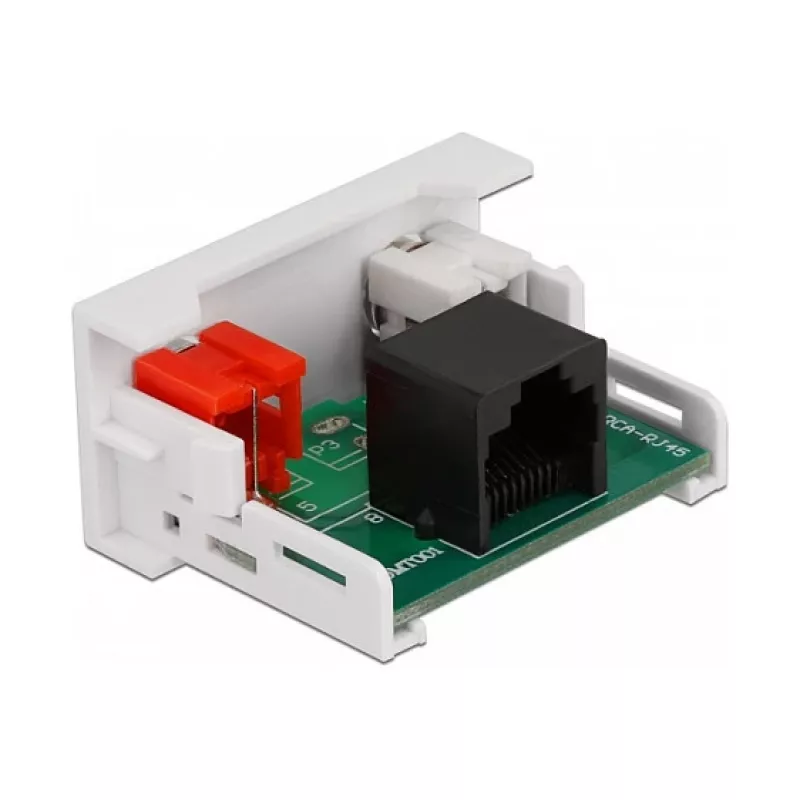 DeLOCK Easy 45 modul 2 x Cinch konektor samica na RJ45 konektor samica 22,5 x 45 mm