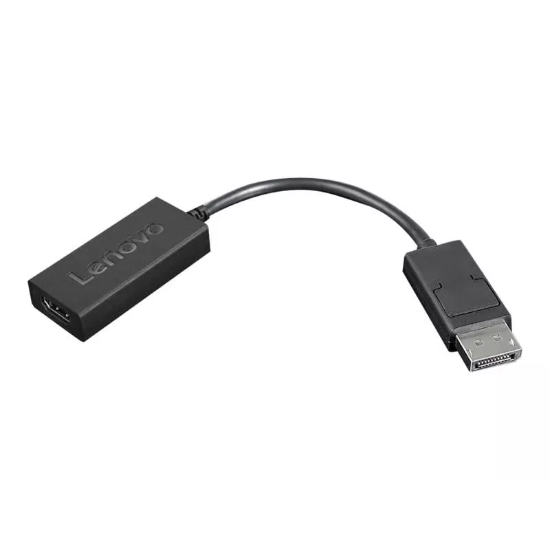Lenovo 4X90R61023 adaptér DisplayPort na HDMI 2.0b, DP samec – HDMI samica, 22,5 cm, 4K, čierny