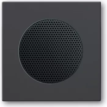 BUSCH JAEGER 2CKA008200A0078 - čierna - štvorcová - 8223 U - 63 mm - 63 mm