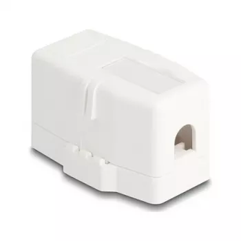 Delock 85841 Prázdne puzdro Keystone, 1 port, magnetická základňa, biele