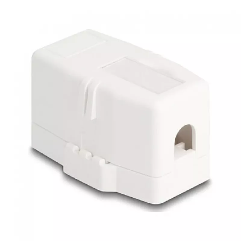 Delock 85841 Prázdne puzdro Keystone, 1 port, magnetická základňa, biele