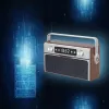 Prenosné rádio MANTA RDI917PRO s Bluetooth a USB prehrávaním