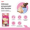 INABA Churu tuniak s príchuťou kreviet - mačacie maškrty - 4x14 g