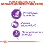 Royal Canin Sensible 33 granule pre mačky, 2 kg