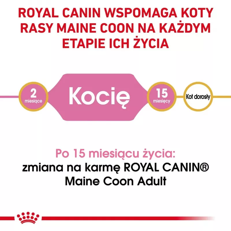 ROYAL CANIN Maine Coon Kitten - suché krmivo pre mačky - 4 kg