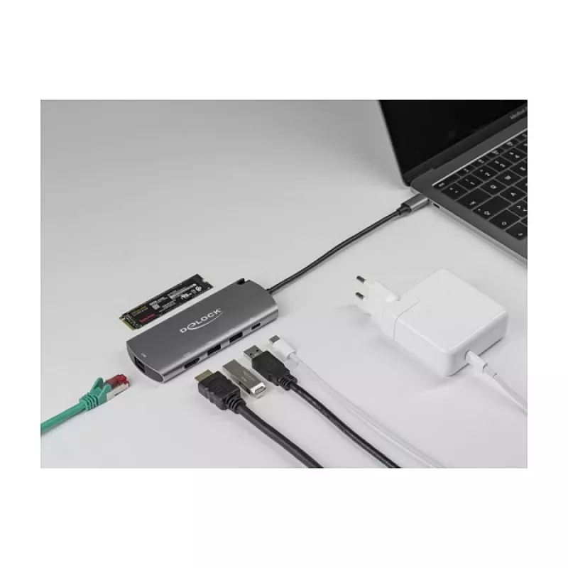 Dokovacia stanica DeLOCK USB Type-C dokovacia stanica so slotom M.2