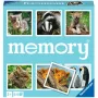 memory zvieratká, hra memory