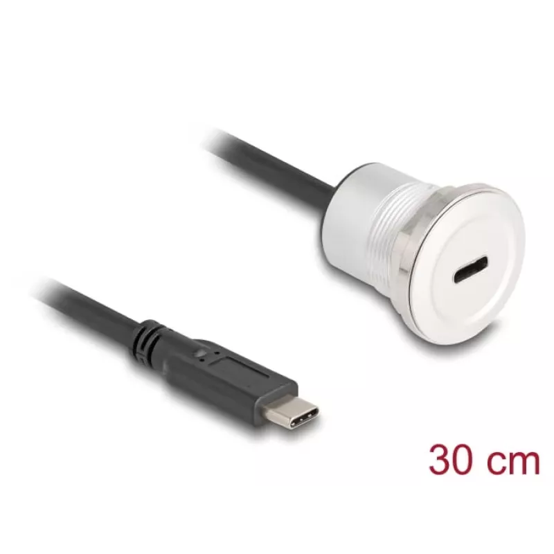USB kábel DeLOCK 88183 0,3 m USB-C čierny strieborný