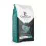 Canagan suché krmivo pre mačky Dental 1,5 kg