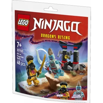 Stavebnica LEGO sada 30700 Arin boj s dračím mužom Polybag (minisada)