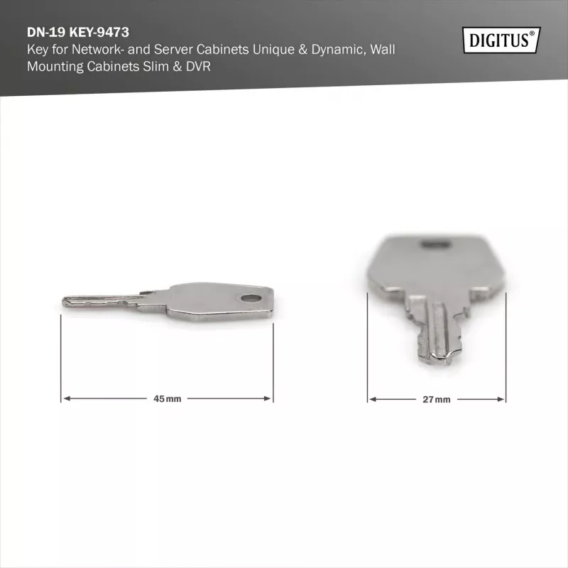 Kľúč pre sieťové a serverové skrine Digitus DN-19 KEY-9473