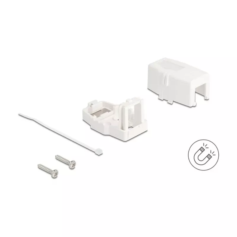 Delock 85841 Prázdne puzdro Keystone, 1 port, magnetická základňa, biele