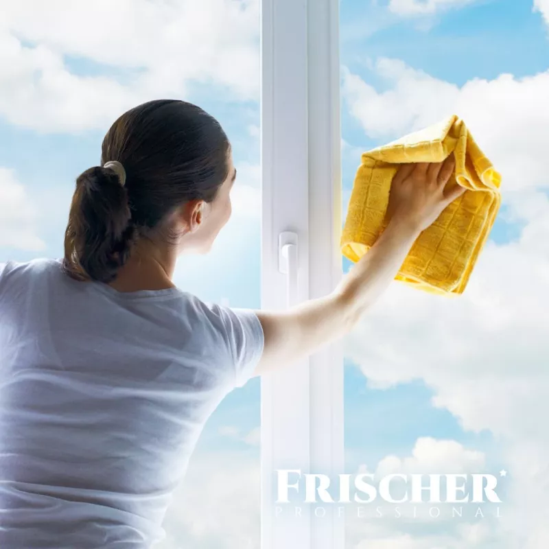 Čistič skla FRISCHER FR00233_500 0,5 l s proti zahmlievaniu
