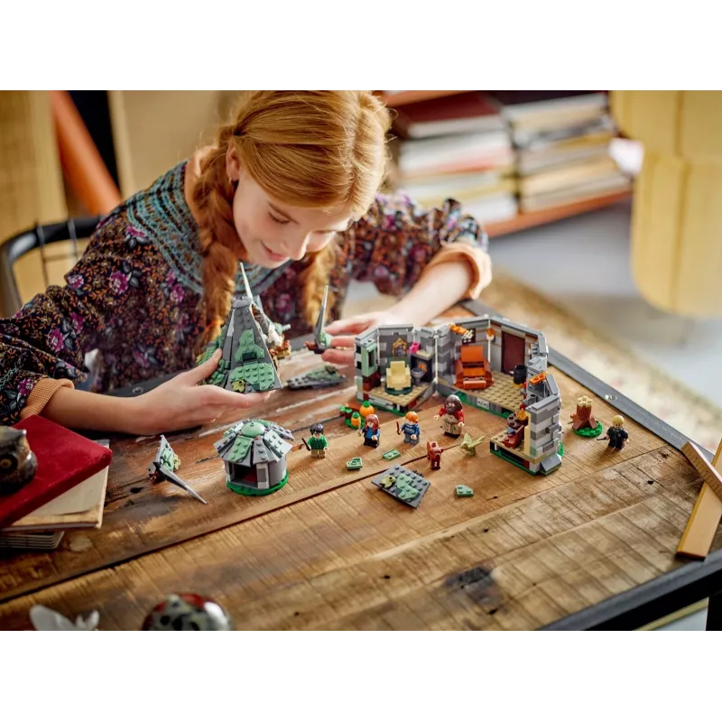 LEGO HARRY POTTER 76428 Hagridova chata – Nečakaná návšteva